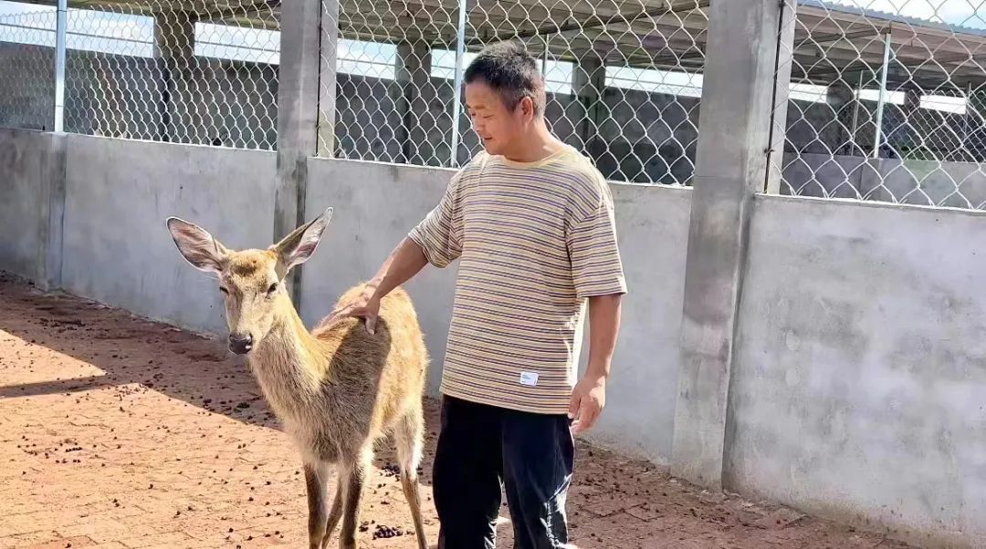 九洲娱乐
